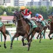 ヒメ日記 2025/12/31 18:48 投稿 水嶋　くるみ タッチVIP