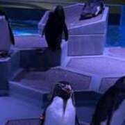 ヒメ日記 2026/01/04 16:48 投稿 水嶋　くるみ タッチVIP