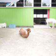 ヒメ日記 2026/01/25 01:12 投稿 水嶋　くるみ タッチVIP