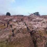 ヒメ日記 2026/04/19 06:27 投稿 水嶋　くるみ タッチVIP