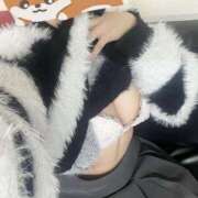 ヒメ日記 2026/02/14 22:42 投稿 もね☆NEW ファンタジー福島店～福島でデリヘルもメンズエステも楽しめる素敵なお店～