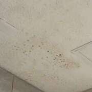 ヒメ日記 2026/01/25 16:39 投稿 みき★UL対応 Blue Moon