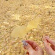 ヒメ日記 2025/12/01 14:40 投稿 あかり 横浜関内人妻城