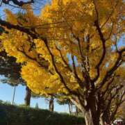 あかり ♡君とわたしだけの特別♡ 横浜関内人妻城