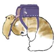 ヒメ日記 2026/03/03 09:56 投稿 りえ シェリーエンジェル