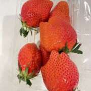 ヒメ日記 2026/03/08 20:52 投稿 りえ シェリーエンジェル