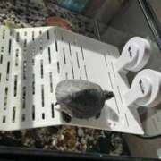ヒメ日記 2026/09/07 23:21 投稿 まりあ 即アポ奥さん〜名古屋店〜