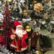 ヒメ日記 2025/12/24 09:57 投稿 まなえ ハピネス東京