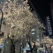 ヒメ日記 2026/04/03 23:00 投稿 なな One More 奥様 鶯谷店