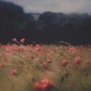 ヒメ日記 2025/12/14 19:10 投稿 あんず Lui（ルイ）