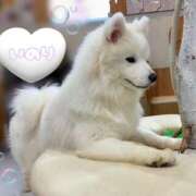 依乃里／いのり 🫧本日、出勤です🐶 埼玉ミセスアロマ（ユメオト）