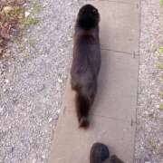 ヒメ日記 2026/03/15 10:33 投稿 小夜美／こよみ 埼玉ミセスアロマ（ユメオト）