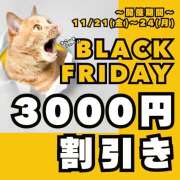 ヒメ日記 2025/11/20 20:53 投稿 ふじこ(昭和45年生まれ) 熟年カップル名古屋～生電話からの営み～