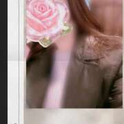 ヒメ日記 2026/03/11 12:52 投稿 ふじこ(昭和45年生まれ) 熟年カップル名古屋～生電話からの営み～