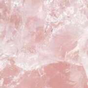 ヒメ日記 2025/12/10 22:07 投稿 あゆ 秋葉原鑑賞ガール