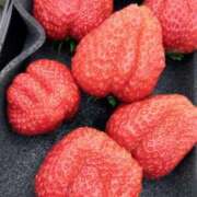 ヒメ日記 2026/02/20 12:20 投稿 みこと One More 奥様 鶯谷店