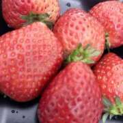 ヒメ日記 2026/03/24 20:30 投稿 みこと One More 奥様 鶯谷店