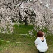 ヒメ日記 2026/04/05 14:50 投稿 みこと One More 奥様 鶯谷店