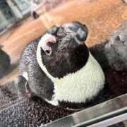 ヒメ日記 2026/04/06 01:20 投稿 みこと One More 奥様 鶯谷店