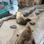 ヒメ日記 2026/04/07 10:20 投稿 みこと One More 奥様 鶯谷店