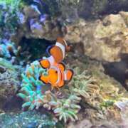 ヒメ日記 2026/04/23 04:10 投稿 みこと One More 奥様 鶯谷店