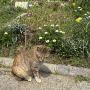 ヒメ日記 2026/04/04 23:02 投稿 まおり スピードエコ難波店