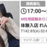 ヒメ日記 2025/12/23 16:41 投稿 体験入店 れん コイバ