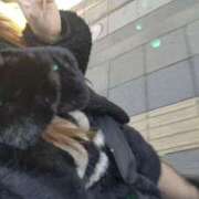 ヒメ日記 2025/12/26 14:52 投稿 体験入店 れん コイバ