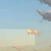 ヒメ日記 2025/11/27 07:15 投稿 みみみ buzz-B