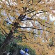 ヒメ日記 2025/11/27 09:01 投稿 みみみ buzz-B