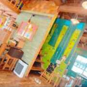 ヒメ日記 2025/11/27 12:30 投稿 みみみ buzz-B