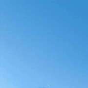 ヒメ日記 2025/11/29 12:21 投稿 みみみ buzz-B