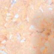 ヒメ日記 2025/12/08 21:35 投稿 みみみ buzz-B