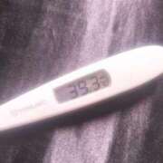 ヒメ日記 2026/01/03 12:30 投稿 みみみ buzz-B