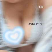 ヒメ日記 2025/11/18 08:14 投稿 るね 沖縄ちゃんこ那覇店