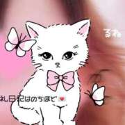 ヒメ日記 2025/11/25 17:14 投稿 るね 沖縄ちゃんこ那覇店