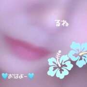 ヒメ日記 2025/11/27 08:44 投稿 るね 沖縄ちゃんこ那覇店