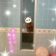 ヒメ日記 2025/12/09 18:21 投稿 なさ 日暮里・西日暮里サンキュー