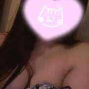 ヒメ日記 2025/11/17 15:12 投稿 れあ 白いぽっちゃりさん