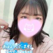 ヒメ日記 2025/11/19 15:12 投稿 れあ 白いぽっちゃりさん