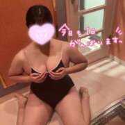 ヒメ日記 2025/12/11 13:21 投稿 れあ 白いぽっちゃりさん