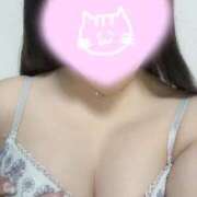 ヒメ日記 2025/12/11 15:12 投稿 れあ 白いぽっちゃりさん