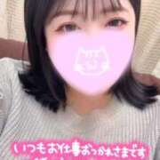 ヒメ日記 2025/12/15 15:12 投稿 れあ 白いぽっちゃりさん