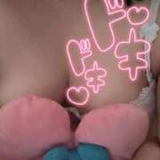 ヒメ日記 2025/12/16 15:22 投稿 れあ 白いぽっちゃりさん