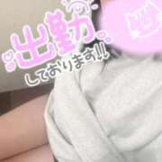 ヒメ日記 2025/12/23 14:54 投稿 れあ 白いぽっちゃりさん