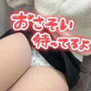 ヒメ日記 2026/01/08 14:12 投稿 れあ 白いぽっちゃりさん