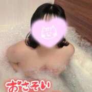 ヒメ日記 2026/01/21 22:16 投稿 れあ 白いぽっちゃりさん