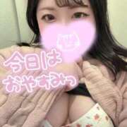 ヒメ日記 2026/02/12 18:22 投稿 れあ 白いぽっちゃりさん