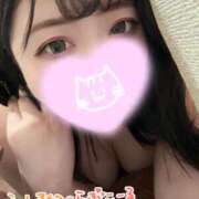 ヒメ日記 2026/02/17 17:14 投稿 れあ 白いぽっちゃりさん