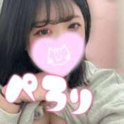 ヒメ日記 2026/02/25 06:42 投稿 れあ 白いぽっちゃりさん